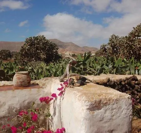 Gbh Casas Portadas * La Oliva